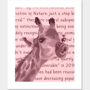 Giraffe Info Posters and Art